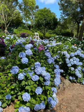 제주 여름 축제 일정표 불꽃놀이 포함 행사 소개_17