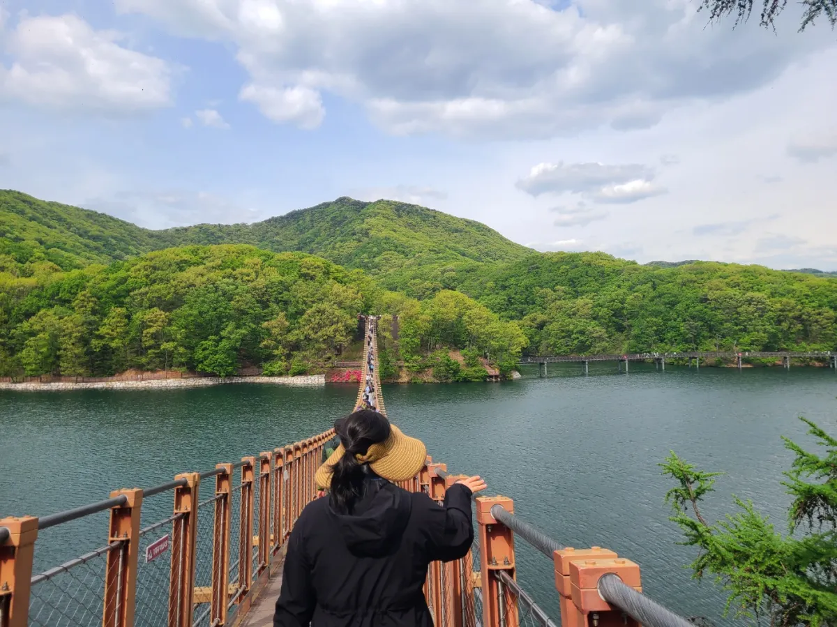 길게뻗은-파주마장호수출렁다리-녹색나무들의산-푸른호수-출렁다리