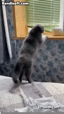 img.webp?credential=yqXZFxpELC7KVnFOS48ylbz2pIh7yKj8&expires=1767193199&allow_ip=&allow_referer=&signature=72ZSY0VBvTwUISw1TR2WmBLuaDw%3D