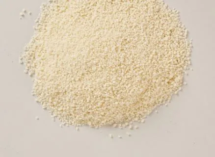 고양이-응고형-모래-카사바-사진