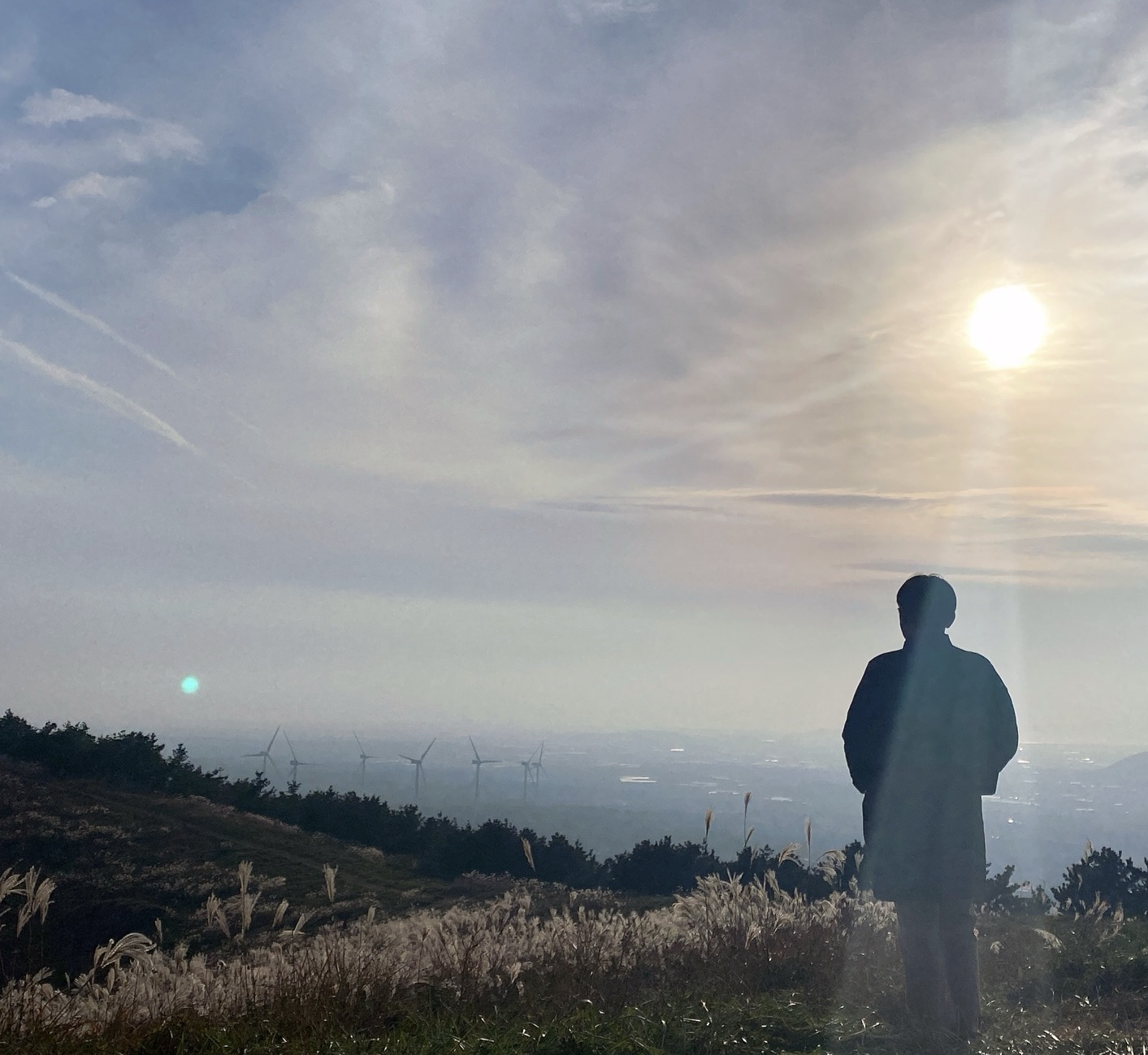 가을 제주도 서쪽 추천 여행지, 일몰 억새명소 금오름 소요시간 추천 시간 주차장 정보