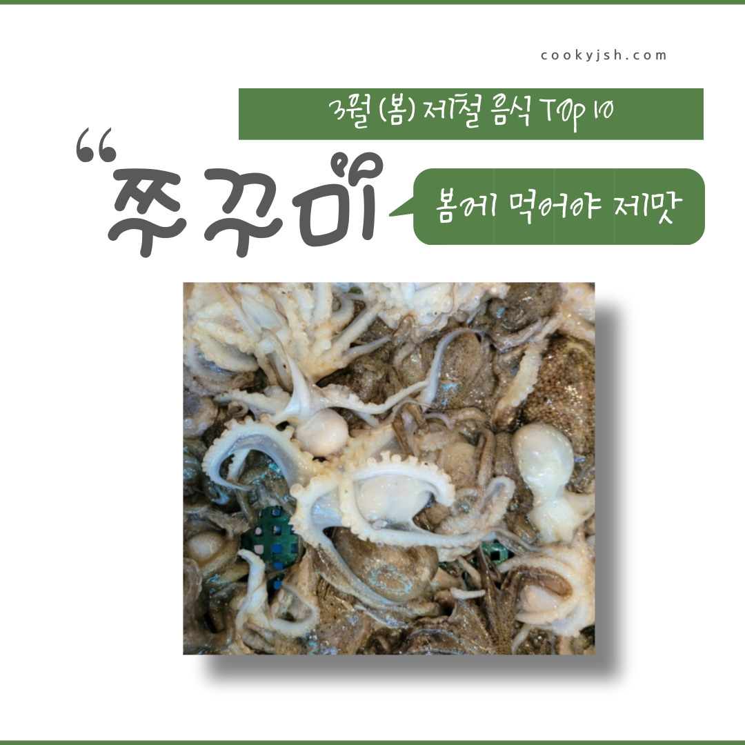 3월에 먹으면 좋은 제철 음식의 종류 Top 10 (봄철 음식) 두릅 냉이 쭈꾸미 취나물 씀바귀 바지락 달래 소라 부추 쑥