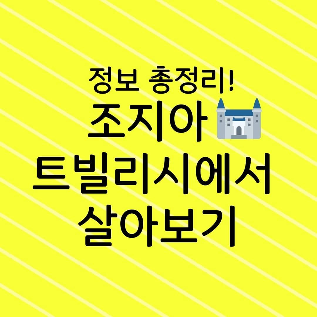 정보 총정리! 조지아 트빌리시에서 살아보기