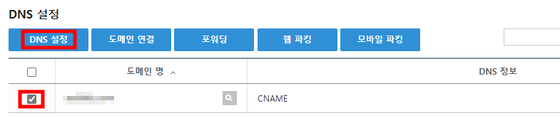 DNS 설정을 클릭