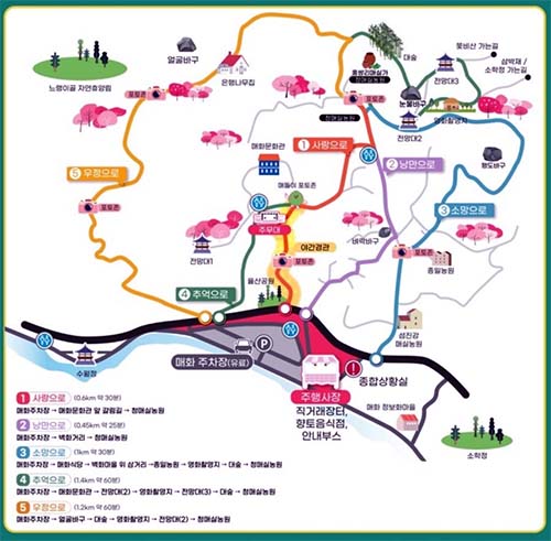 광양 매화 축제&amp;#44; 봄의 메시지를 전해요