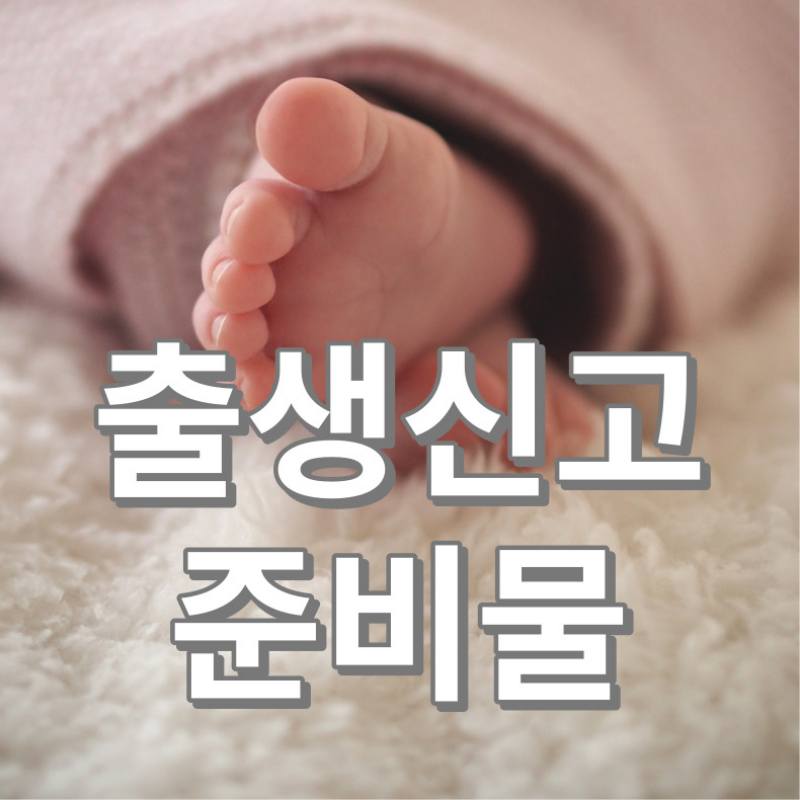 출생신고 준비물
