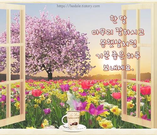 예쁜 그림 이미지