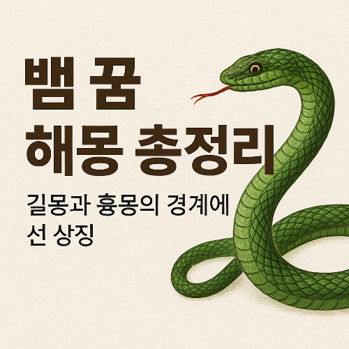 뱀 꿈 해몽 총정리