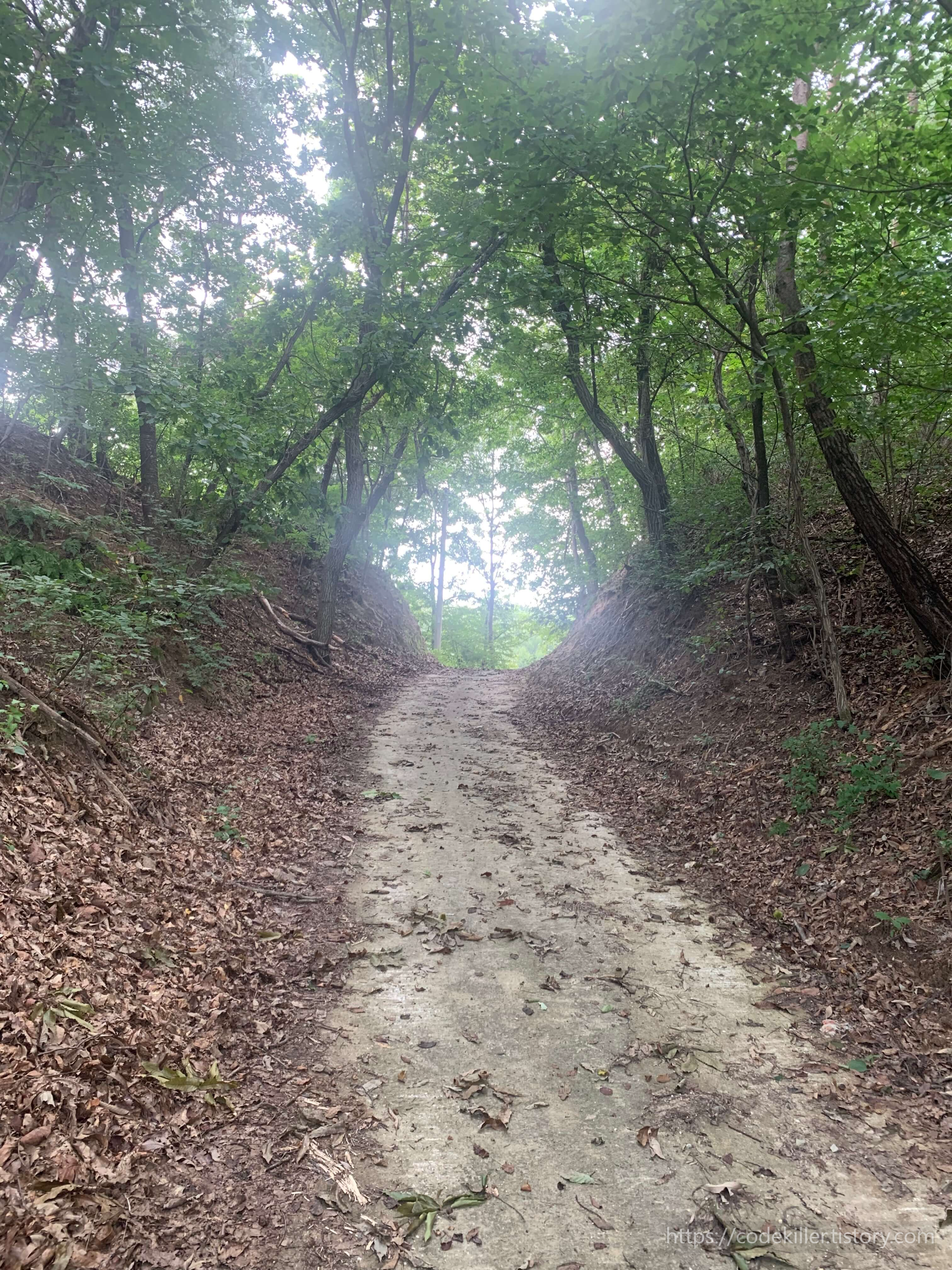 산책