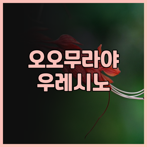 료칸 오오무라야 후기 우레시노 온천