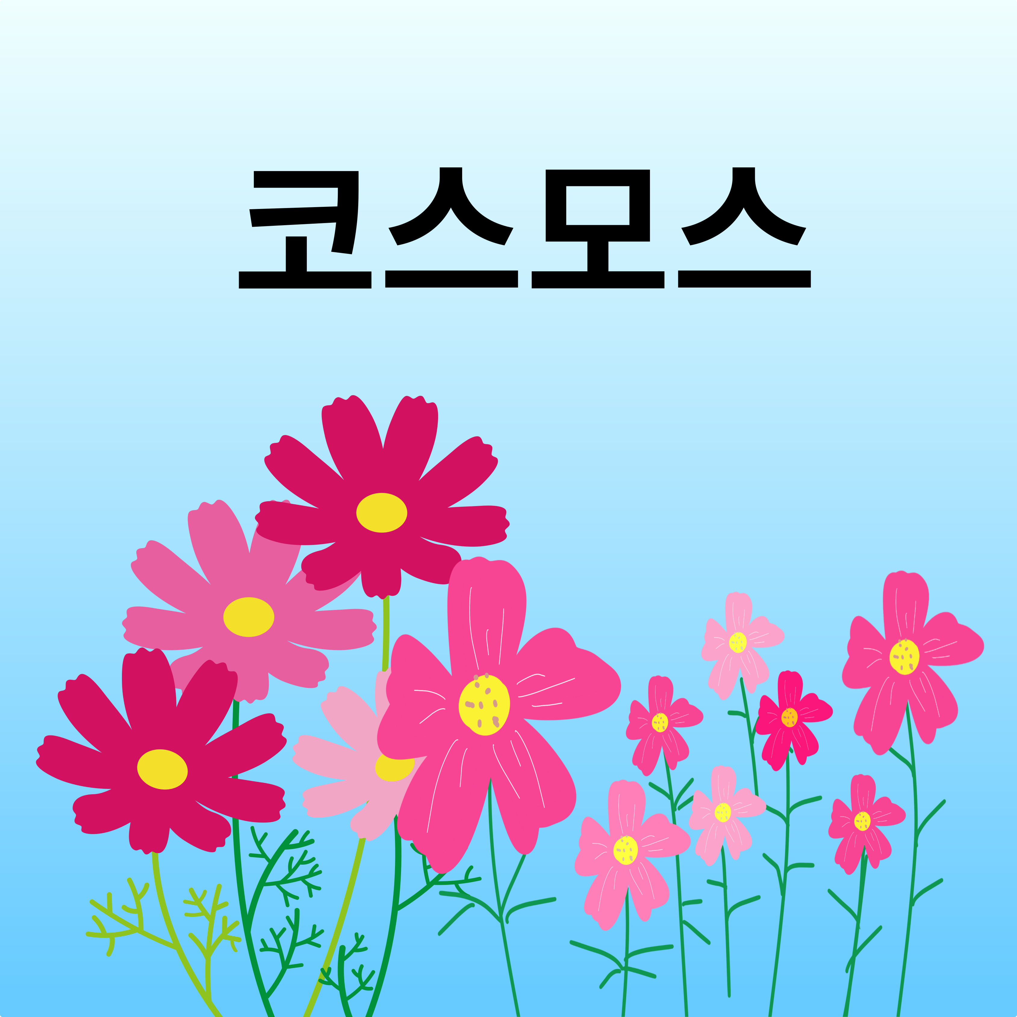 가을-동요-코스모스를-소개합니다.