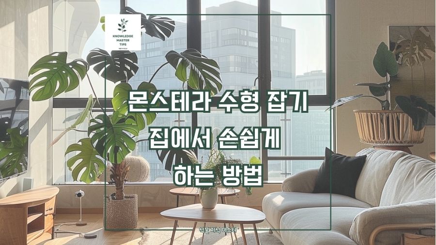 몬스테라 수형 잡기, 집에서 손쉽게 하는 방법