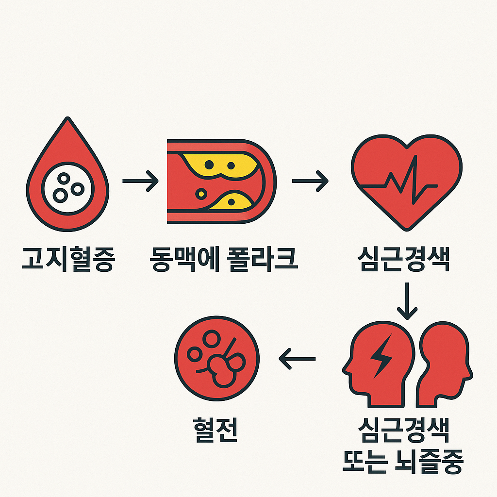 고지혈증 → 동맥경화 → 혈전 → 심혈관질환으로 이어지는 흐름을 도식화한 인포그래픽 이미지