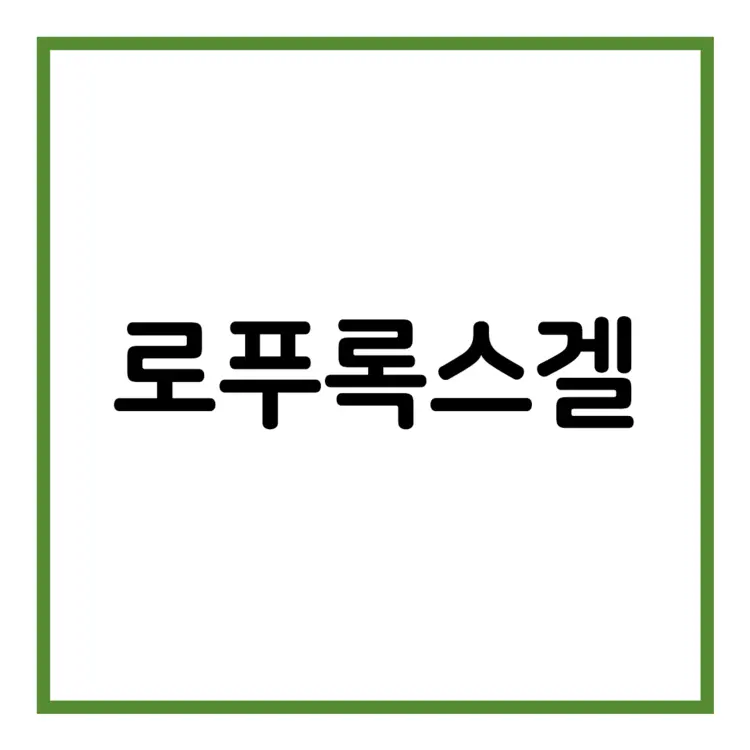 로푸록스겔-이미지