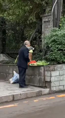중국에서 채소 사 먹으면 안되는 이유