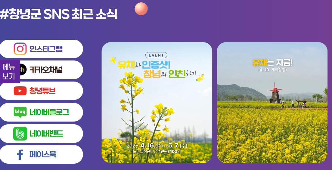 [4월 봄꽃 축제]창녕 낙동강 유채꽃축제 ❘기간, 일정, 명소, 실시간 개화 현황