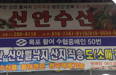 신안수산