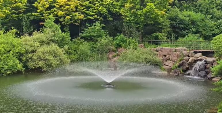 화담숲 예약하기-모노레일-벚꽃-만개-1