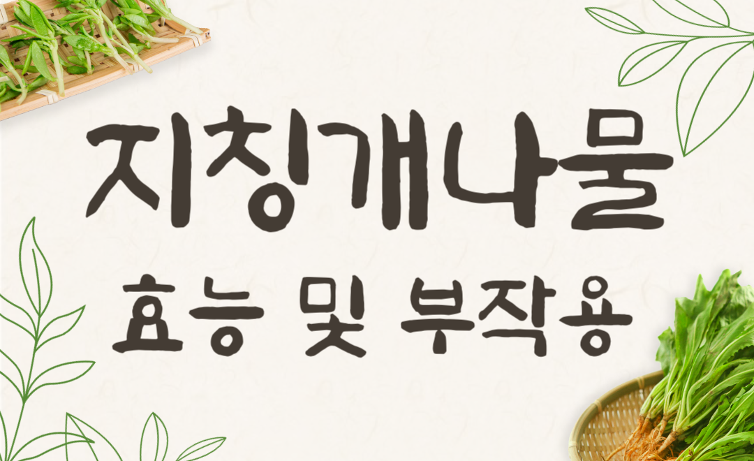 지칭개나물 효능과 먹는법, 부작용까지 완벽 정리!