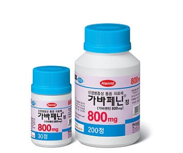 의약품 부문