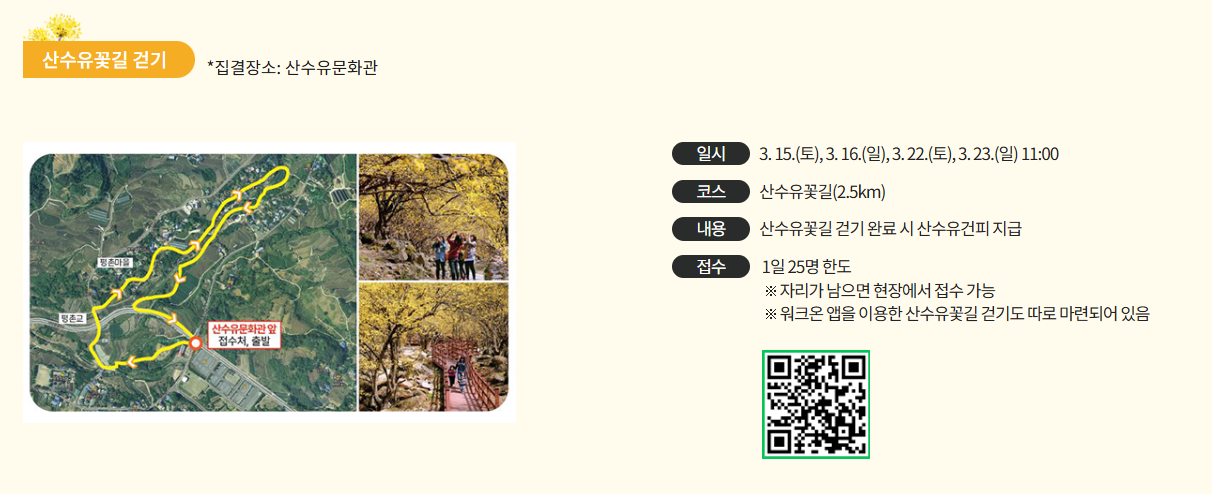 구례산수유꽃축제