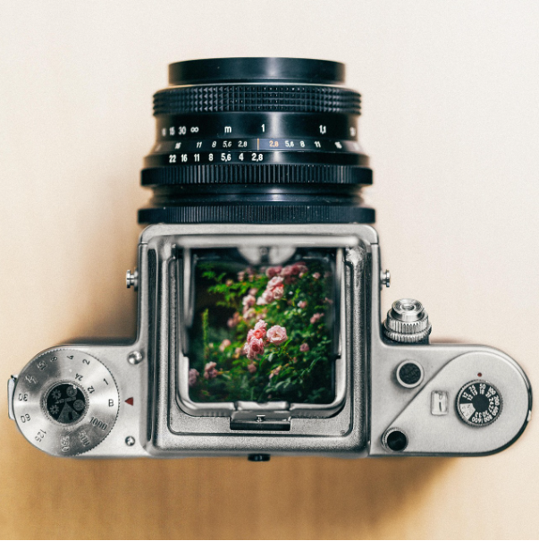 디지털 카매라 사진