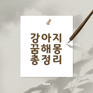 강아지-꿈-해몽-총-정리