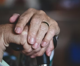 알츠하이머병 증상 원인 예방 가이드북