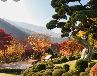 11월 국내여행지 추천 BEST 10