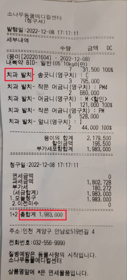 강아지-치석제거