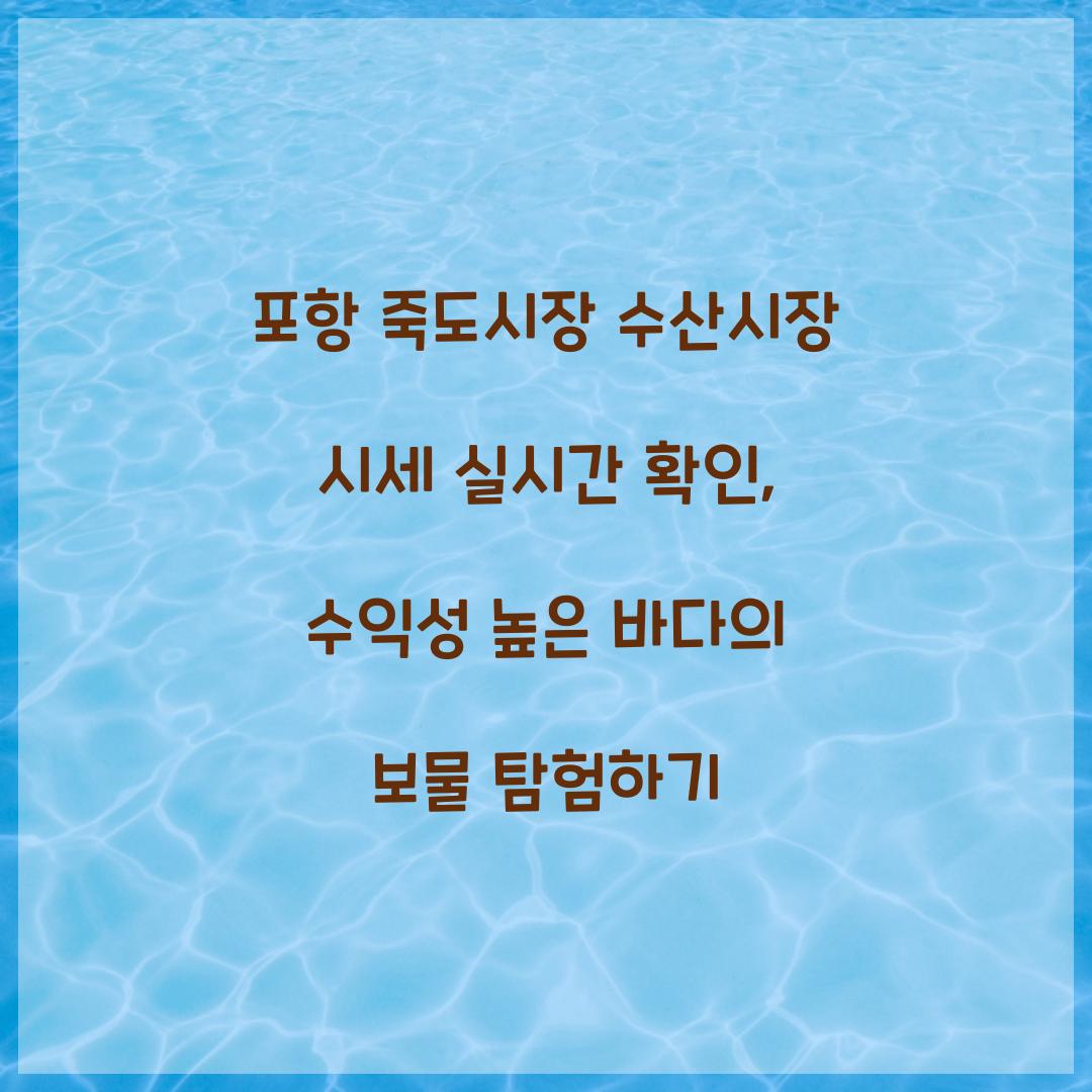 포항 죽도시장 수산시장 시세 실시간 확인