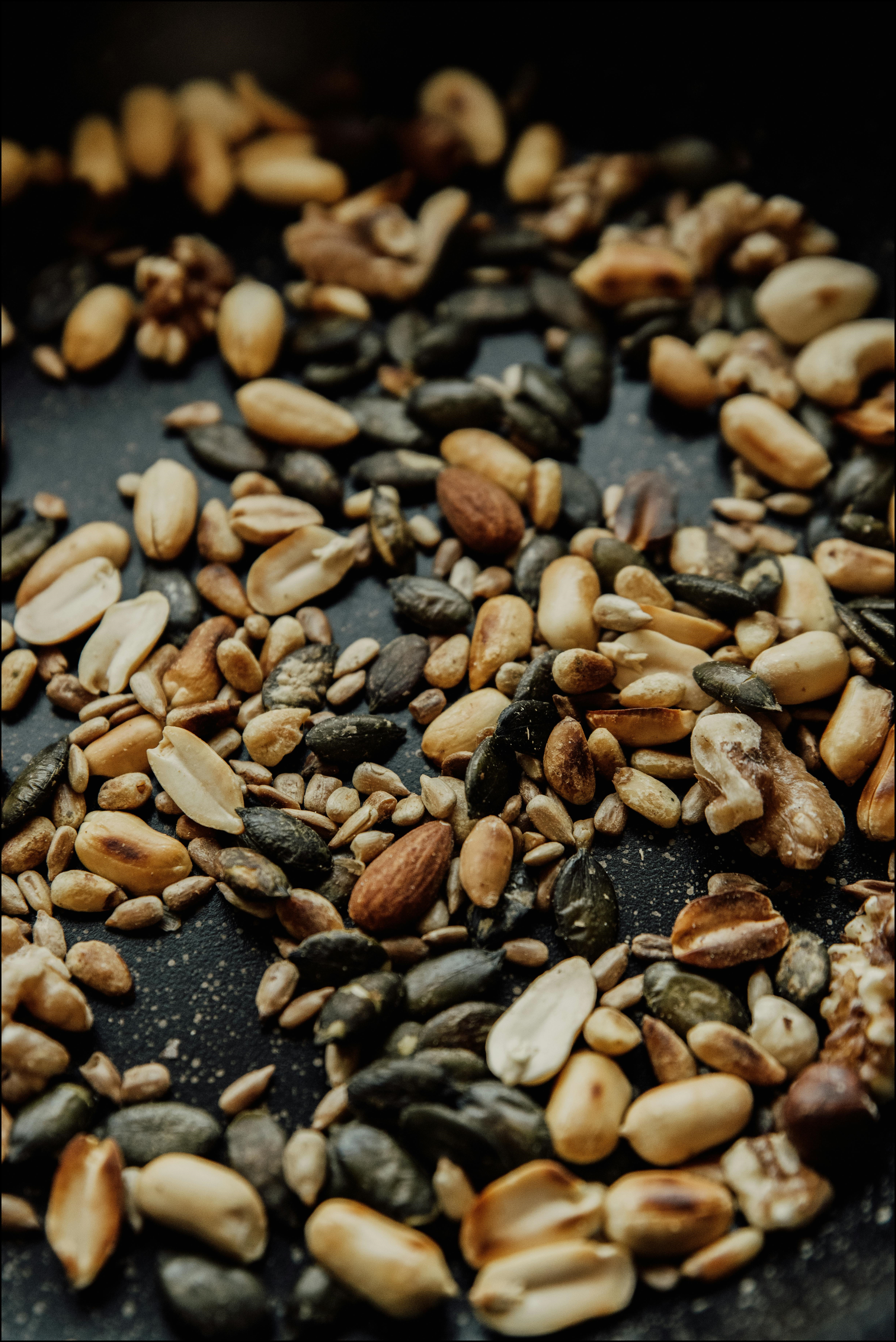 땅콩심는시기 및 방법