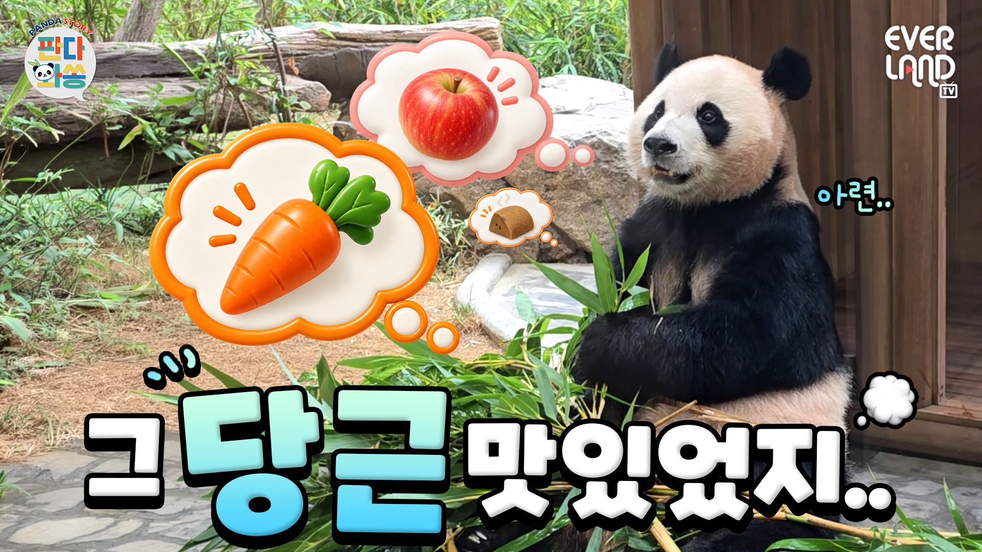 당근아 내 목소리 들리니 (대나무를 꼬옥 쥐며...)｜#판다와쏭 #272