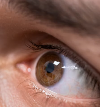 녹내장 치료법 진단 기준 합병증