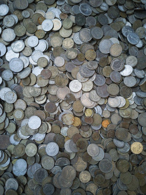 서울과 지방 복지 관련 사진