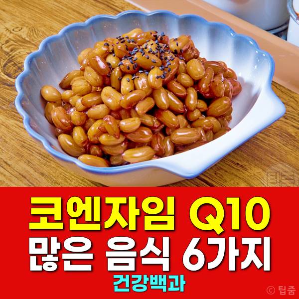 코엔자임q10 많은 음식 복용시간 흡수율