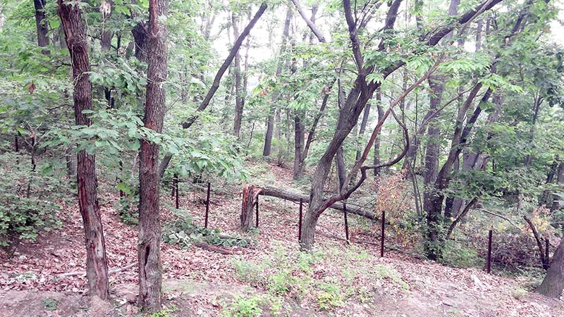 북한산둘레길 도봉옛길