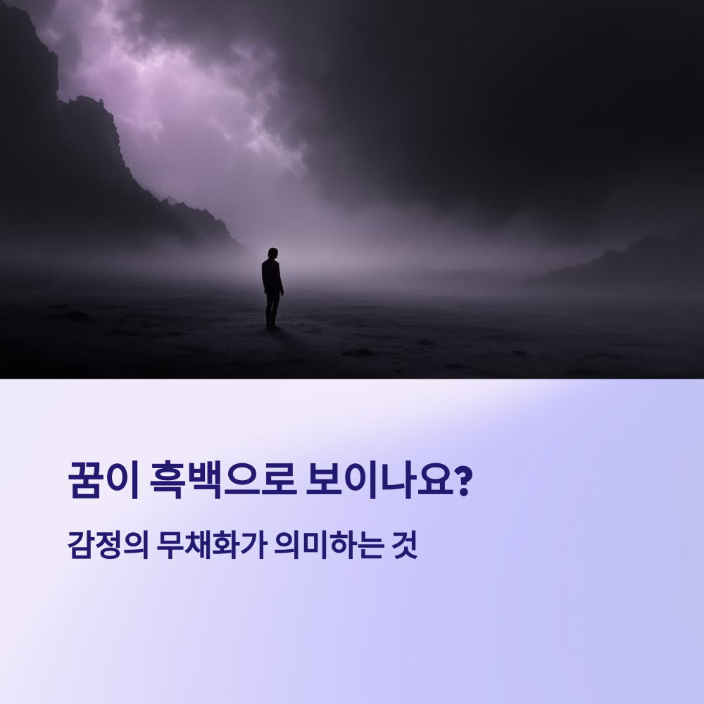 색이 사라진 꿈