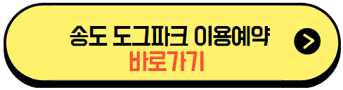 버튼