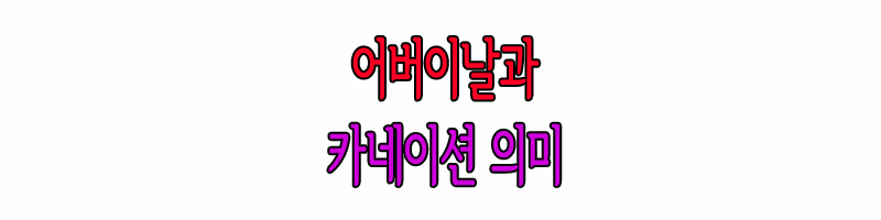 어버이날과 카네이션 뜻