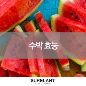 수박 효능_12