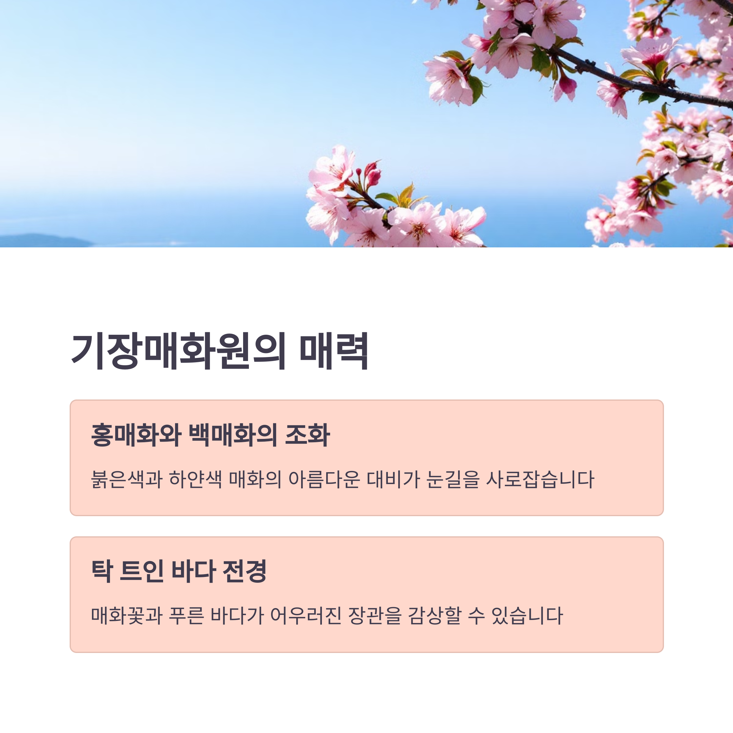 부산 기장매화원