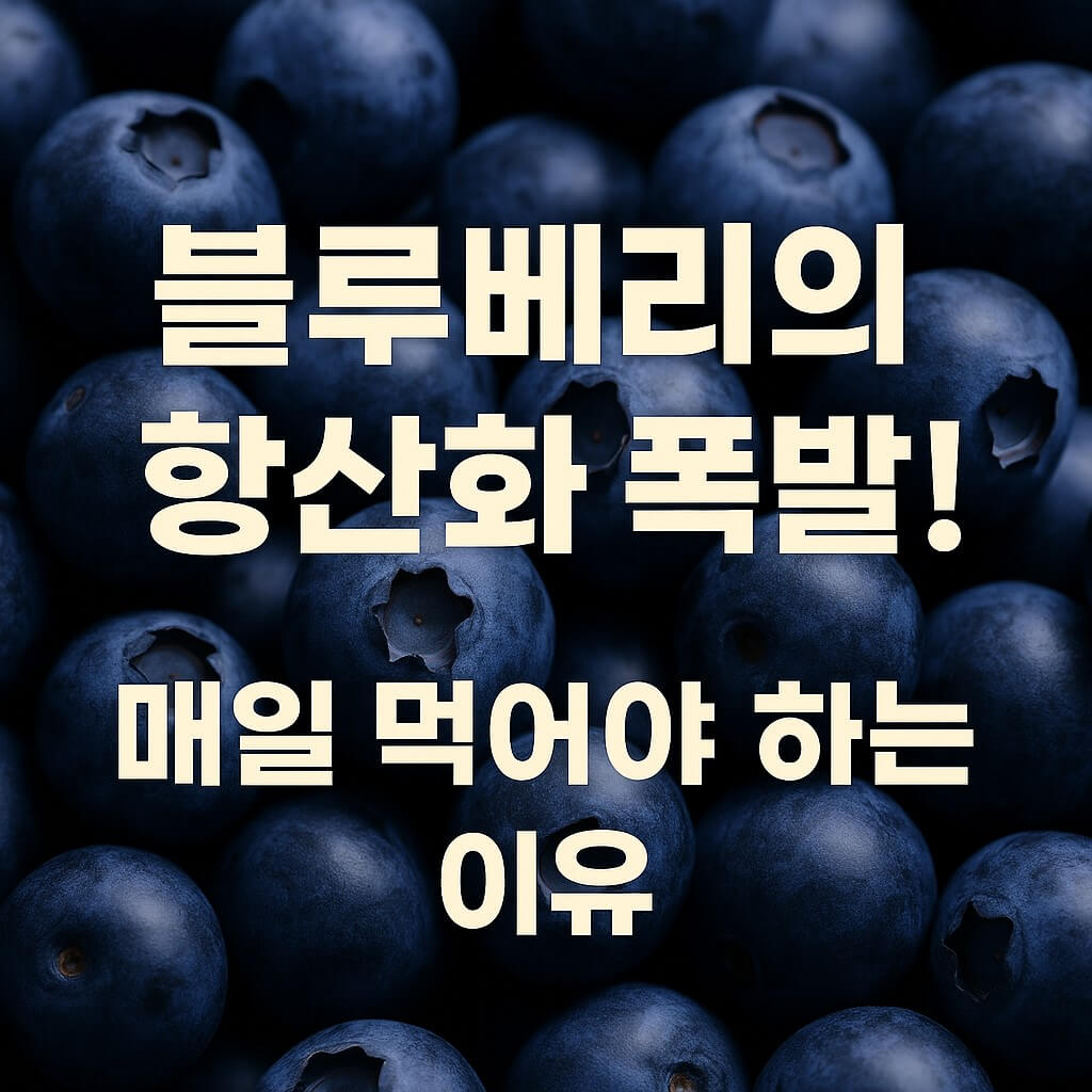 블루베리의 항산화 폭발! 매일 먹어야 하는 이유 썸네일 이미지