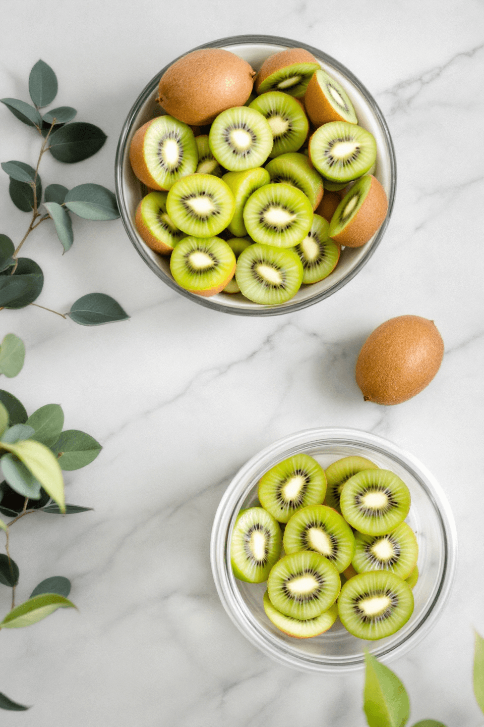 키위 사진입니다.