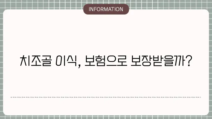 치조골 이식 수술 후 회복에 관한 정보