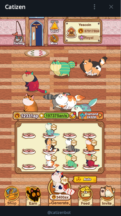 캣티즌 catizen