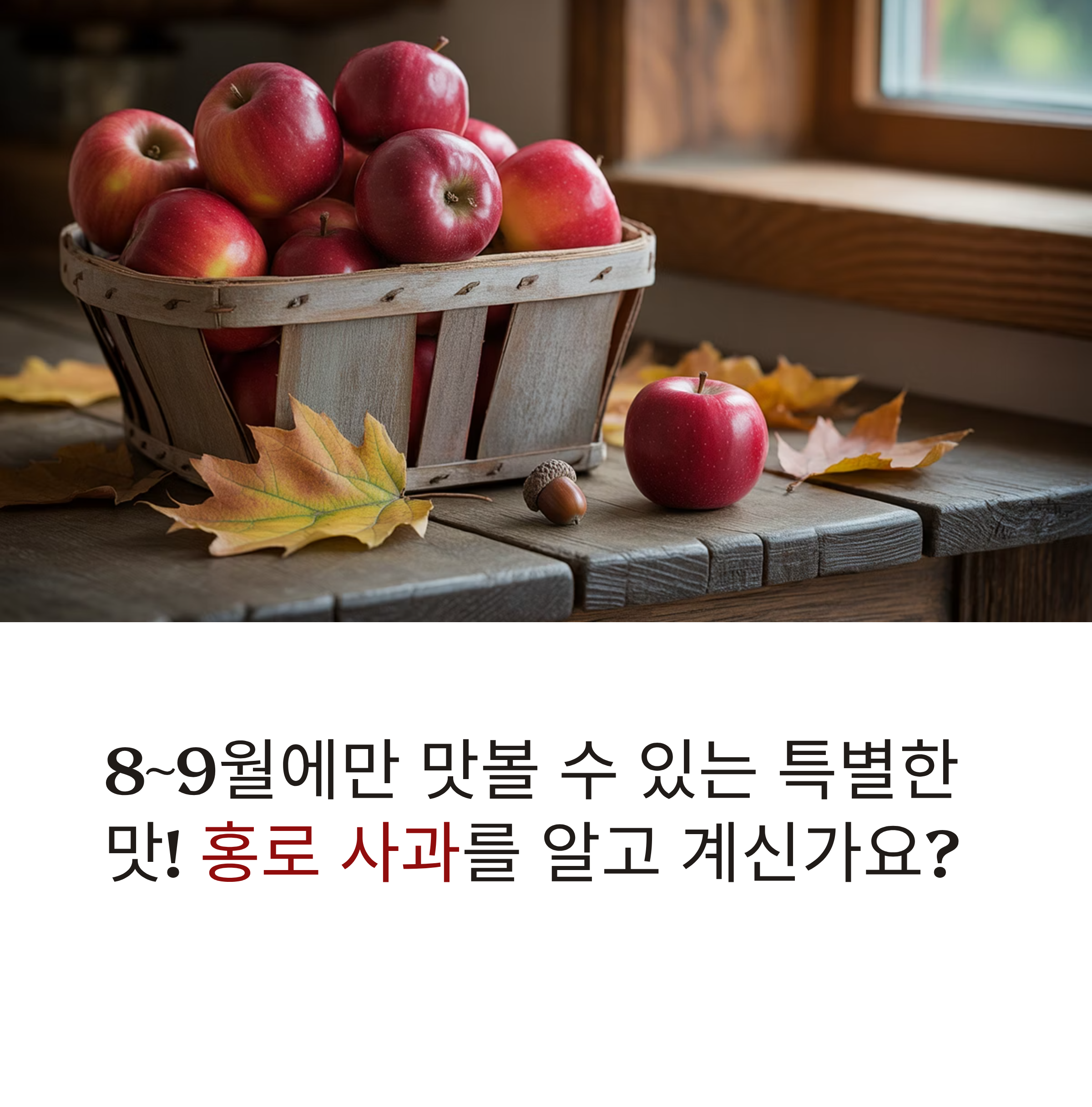 8~9월 제철 과일, 홍로 사과 제대로 즐기기 🍎