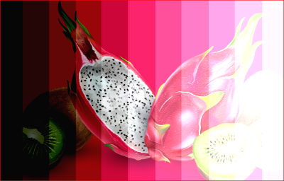 선형 라이트(Linear Light)