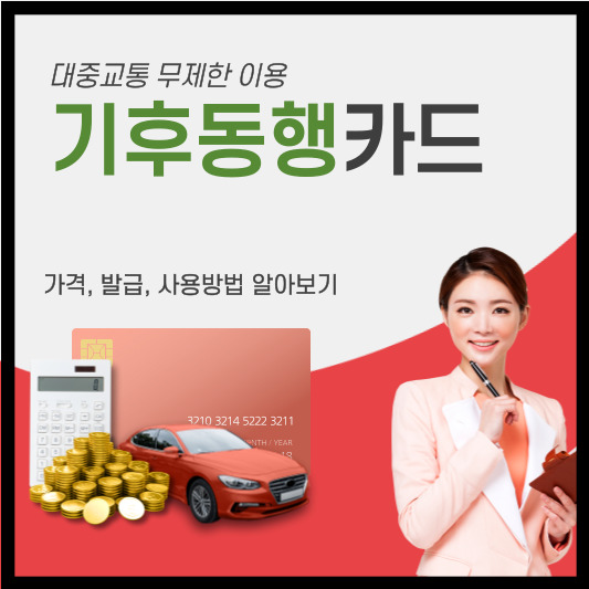 기후동행카드