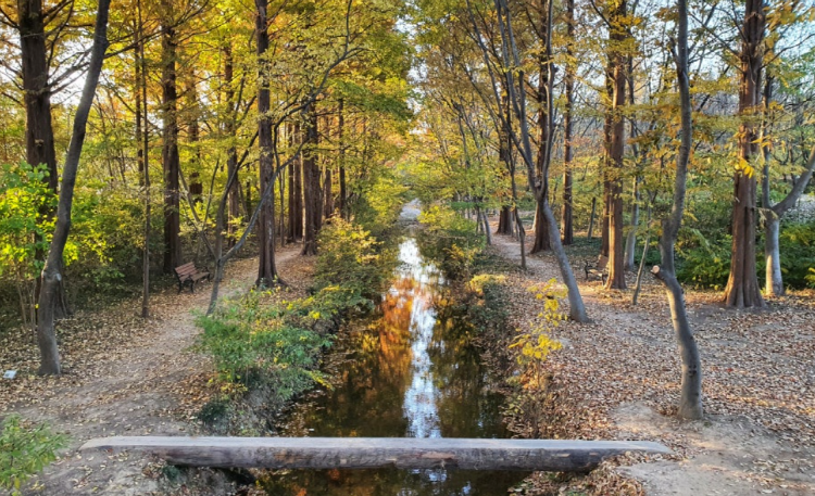 경북천년숲정원